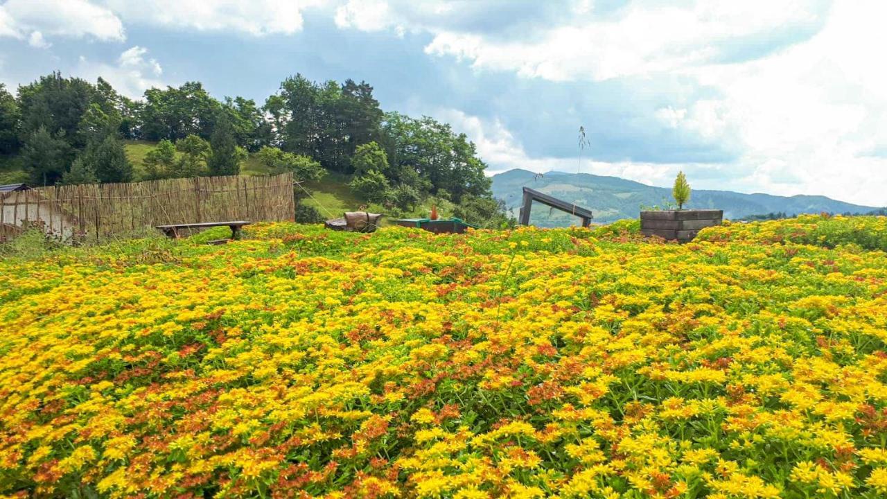 Popasul Verde Sângeorz-Băi Zewnętrze zdjęcie