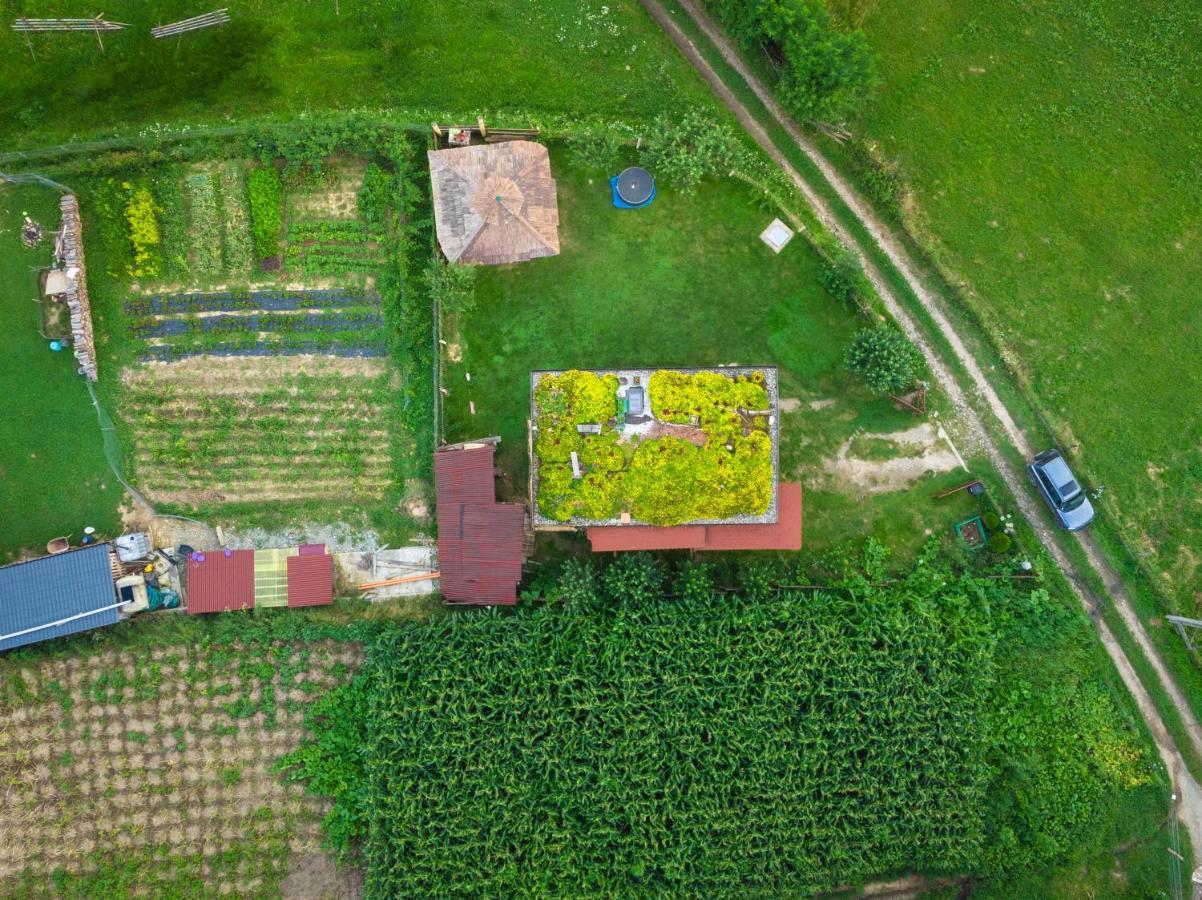 Popasul Verde Sângeorz-Băi Zewnętrze zdjęcie