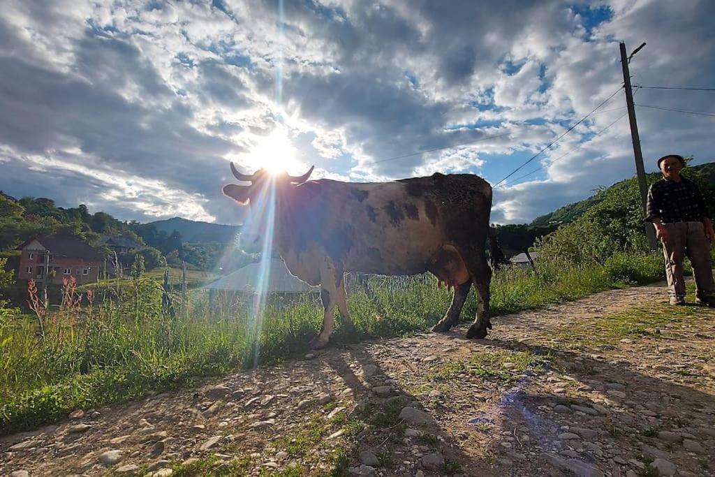 Popasul Verde Sângeorz-Băi Zewnętrze zdjęcie