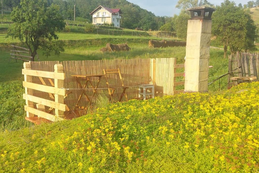 Popasul Verde Sângeorz-Băi Zewnętrze zdjęcie